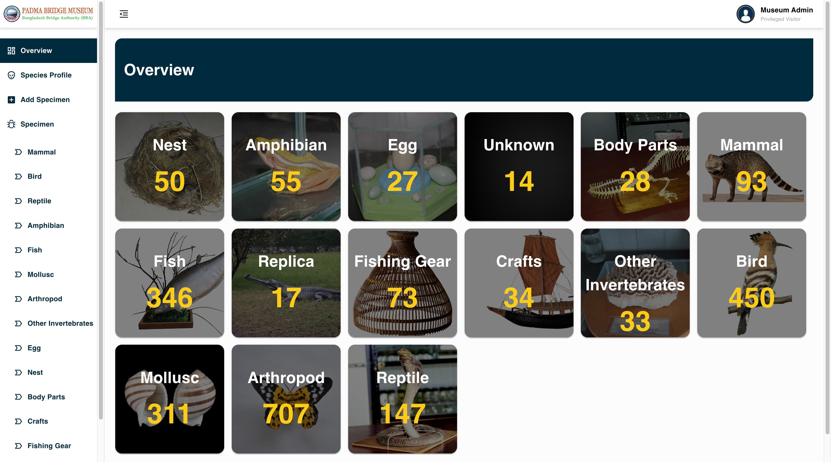 Specimen taxonomy overview
